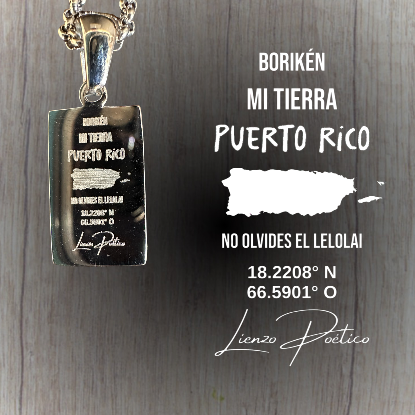 Bandera de Puerto Rico negra y blanca color plata