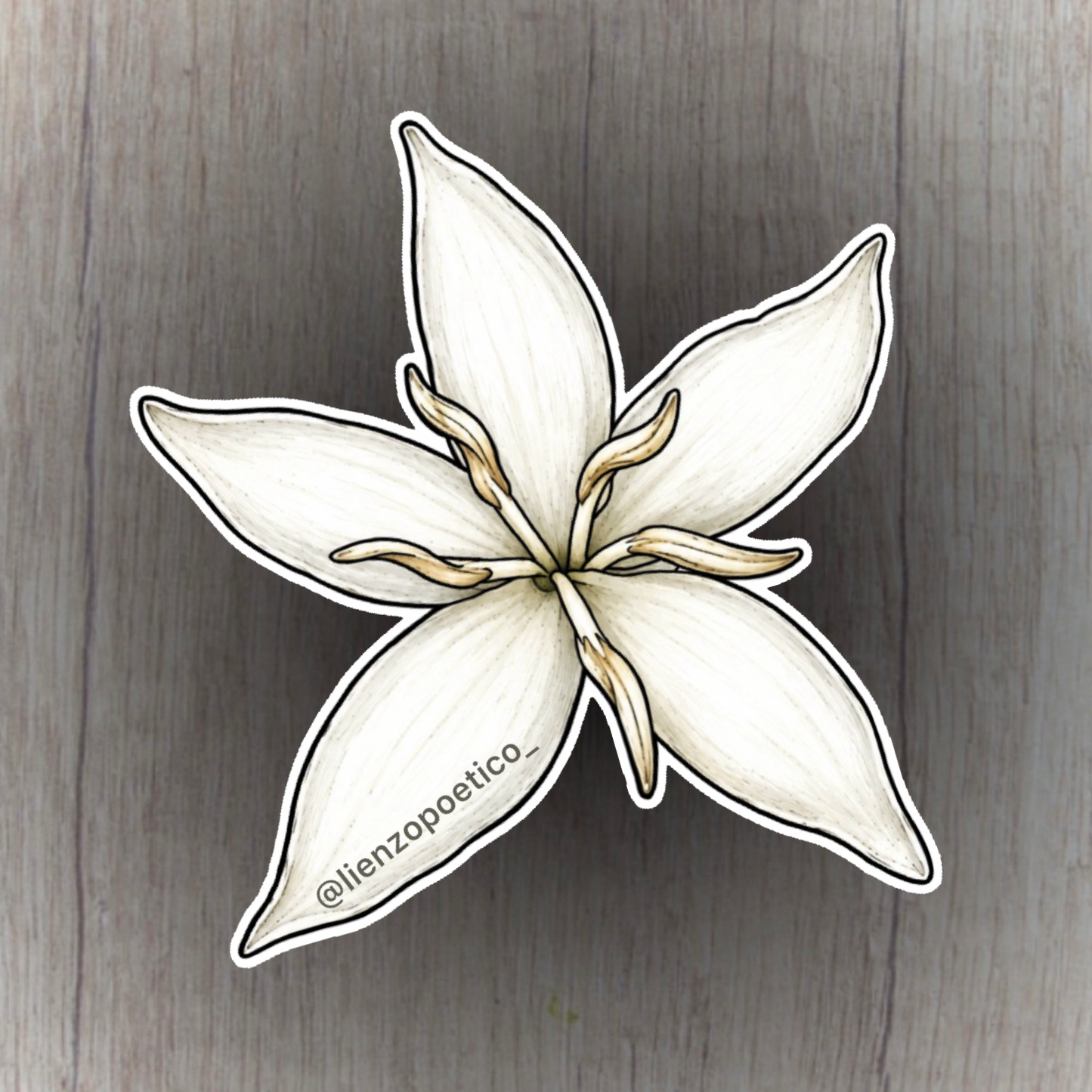 Sticker de flor de café