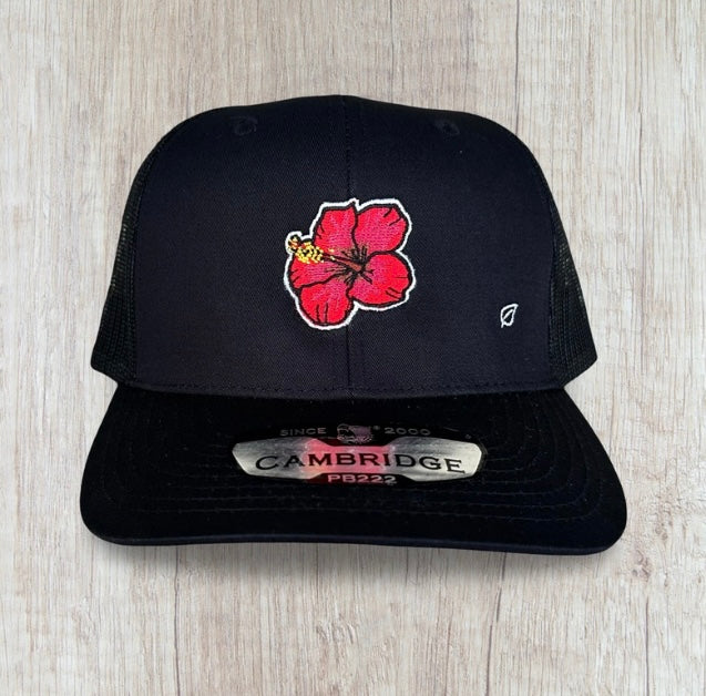 Gorras Bordadas