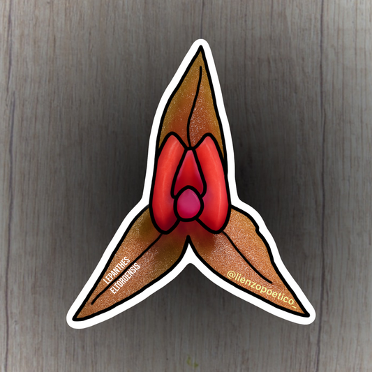 Sticker de Orquídea del Yunque