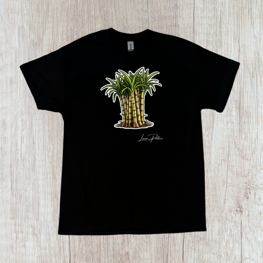 T-shirt o Crop Top de Caña