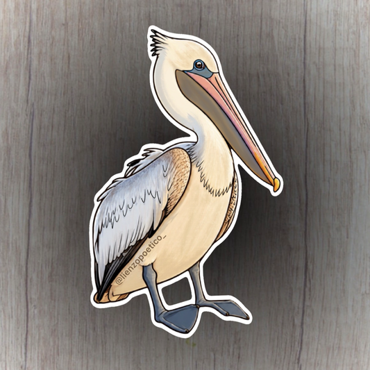 Sticker de pelícano