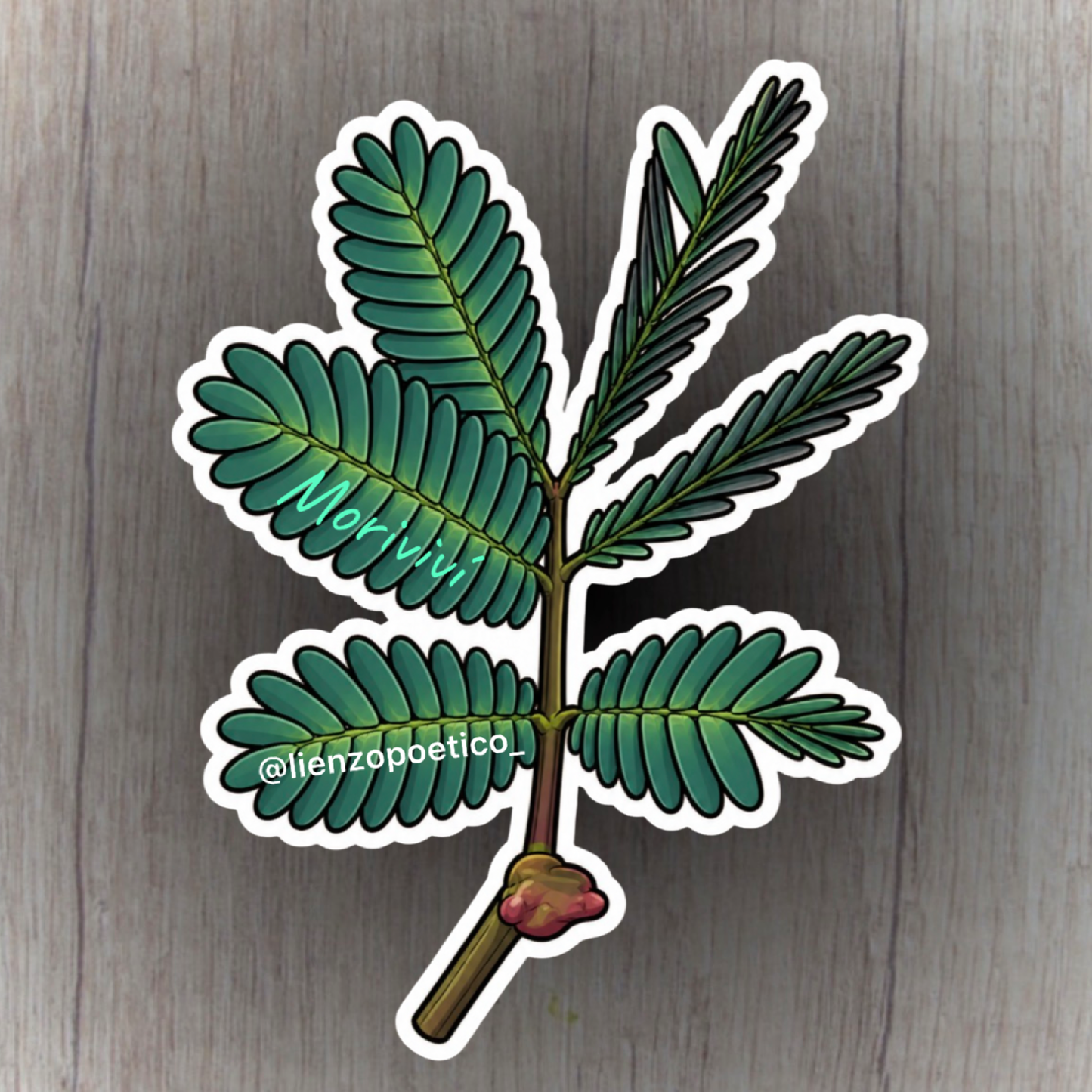 Sticker de Moriviví