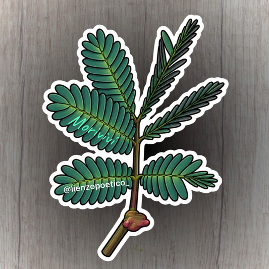 Sticker de Moriviví