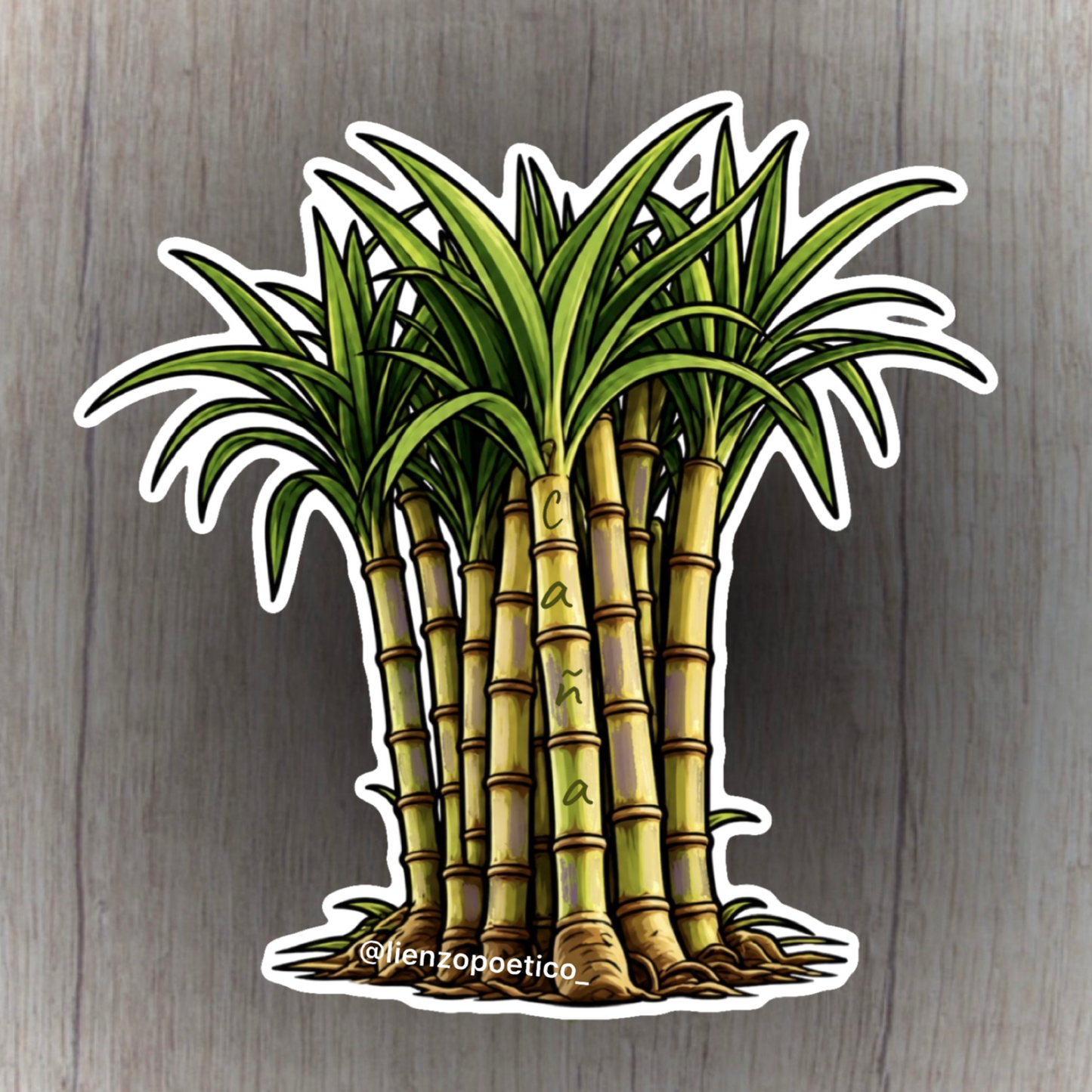 Sticker de Caña